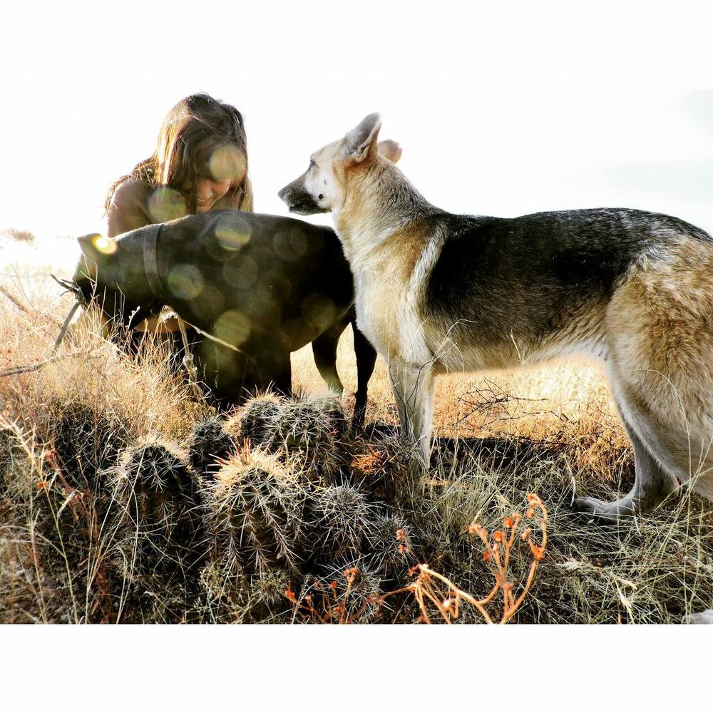 Meet your Posher, Genevieve